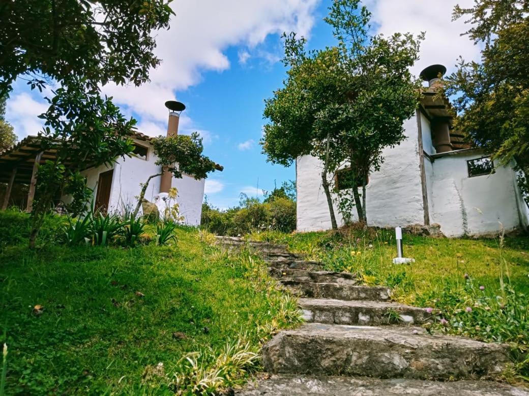 Jardin Colibri Rnt 33633 Villa Guatavita Buitenkant foto